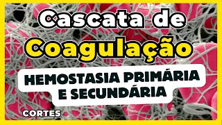 Cascatas de coagulação  Hemostasia Primária e Secundária Atualizado 2024 [upl. by Nortyad]