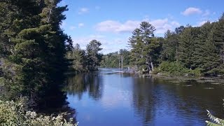 Nature Plover River [upl. by Nasah207]