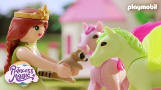 Playmobil  Princess Magic  Short Film  The Lost Raccoon Baby Kids Film [upl. by Eillek]