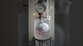 Gas law demonstration  Gay Lussacs law physics physicsexperiment demonstration [upl. by Ydnelg]