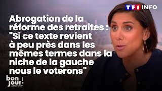 Réforme des retraites  quotSi ce texte revient dans la niche de la gauche nous le voteronsquot｜TF1 INFO [upl. by Seyah713]