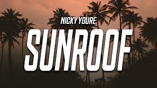 Nicky Youre  Sunroof Lyrics feat dazy “i got my head out the sunroof” [upl. by Mairem53]