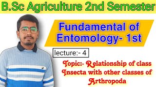 Relationship of class Insecta with other classes of Arthropoda  Fundamental of Entomology bSc Ag [upl. by Ogeid481]