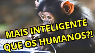 OS 10 ANIMAIS MAIS INTELIGENTES DO MUNDO [upl. by Assirahc8]