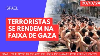 ISRAEL Terroristas se rendem aos montes na Faixa de Gaza [upl. by Culberson]