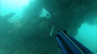 Spearfishing Rottnest Island [upl. by Celestyn]