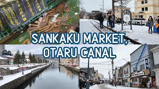 Sankaku Market Otaru Canal and Walking Around Otaru  Hokkaido Japan [upl. by Andersen]