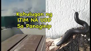 KAHULUGAN NG ITIM NA UOD SA PANAGINIP [upl. by Bernadina]