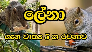 lena gana rachanalena gana waki liyamulලේන ගැන වගන්ති රචනා lena gana vakyaලේනා ගැන රචනා [upl. by Nehte557]