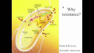 Venkatraman Ramakrishnan How Antibiotics Block the Ribosome the Cell’s Protein Factory [upl. by Lashond]