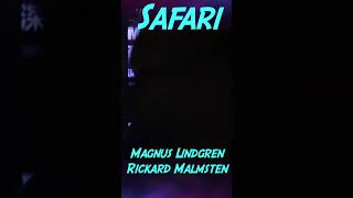 Rickard Malmsten amp Magnus Lindgren  Safari [upl. by Jay813]