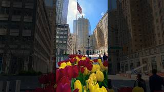 The Helmsley Building summitonevanderbilt metlife parkavenue grandcentralterminal nyc newyork [upl. by Oiredised]