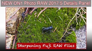 ON1 Photo RAW NEW Details Panel Sharpening Fujifilm RAW File [upl. by Lemmy]