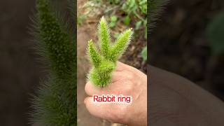 Making a rabbit ring with foxtailkorea [upl. by Jacinthe594]