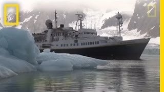 Killer Whales vs Minke Whale  National Geographic [upl. by Lehcim]