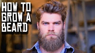 HOW TO GROW A BEARD  Buff Dudes Style [upl. by Flodur203]