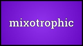 Mixotrophic Meaning [upl. by Pomfrey]