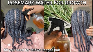 ROSEMARY FOR FULLER LONGER HAIR NO MORE HAIR LOSS [upl. by Ilil174]