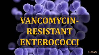 VANCOMYCIN RESISTANT ENTEROCOCCI [upl. by Kihtrak443]