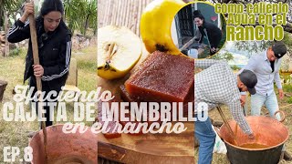 HACIENDO CAJETA DE MEMBRILLO  RANCHO EP8 [upl. by Assirehc]