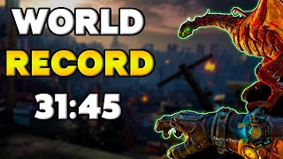 WR Gorod Krovi Solo Easter Egg Speedrun in 3145 [upl. by Cyd145]