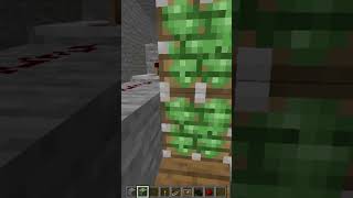 Dragon Head secret Entrance in Minecraft shorts minecraft redstonebuilds redstonebuildhacks [upl. by Ecenaj]