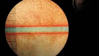 Video 4  Double Diffusive Convection in layers [upl. by Nolte946]