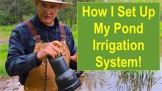 How I Set Up My Pond Irrigation System for My Pumpkin Patch Area [upl. by Joselow]