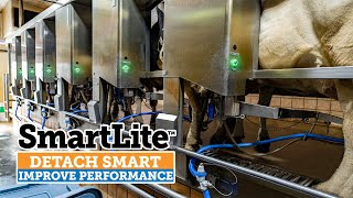 SmartLite Smarter Detaching  RampE Dairy Farm Wisconsin English [upl. by Balas617]