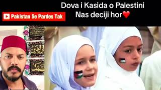 We will never forget Palestine  Bosnia and Herzegovina stand with Palestine  Free Palestine [upl. by Aunson587]