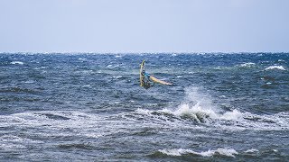 Die südlichste Landspitze vom Baltikum  Endlich am Meer  Litauen S03 EP14 [upl. by Harold]