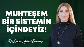 Anladığında Hayatın Değişecek Yaratımın 8 Sıfatı ile Hayatında İstediklerini Yaşa Kıtlık Bilinci [upl. by Lesh]