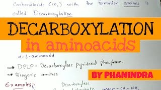 Decarboxylation of Aminoacids  Aminoacids metabolism [upl. by Yerfdog241]