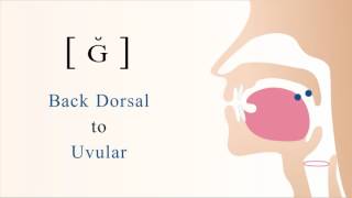 ɢ̆  ʀ̆  voiced dorsal uvular tap [upl. by Yelyab]