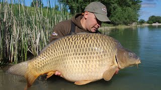 Praktični ribolov  šaranski ribolov na jezeru Zajarki  carp fishing lake Zajarki [upl. by Ardnaet]