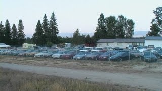 Classic Car Lot Walk Around Pontiac Trans Am Chevy Olds 442 Ford Mercedes Youngtimer Classics [upl. by Emiaj368]