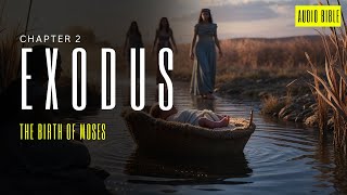 Exodus 2 The Birth of Moses – God’s Plan Takes Shape [upl. by Sherilyn]