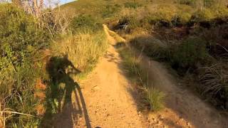 Puff Adder Strikes Mountain Biker at Jonkershoek [upl. by Doris597]