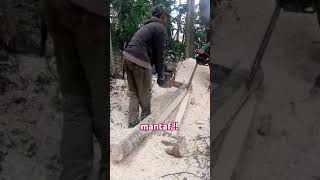 How to quickly split Indonesian forest wood wood automobile chainsaw [upl. by Aihtenyc651]