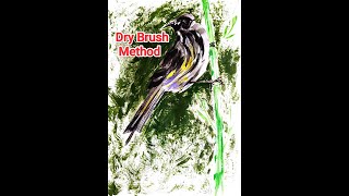 Dry Brush Method Painting [upl. by Willabella]