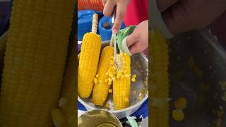 Sweet Yellow Corn Peeling In Malaysia [upl. by Llenahc635]