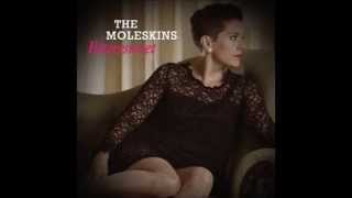 IGY Donald Fagen  cover by The Moleskins [upl. by Etterrag]