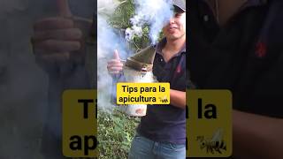 Apicultura para principiantes Aprende a cuidar a las abejas con éxito [upl. by Eramat684]