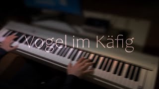 Vogel im Käfig  AOT  Best Part Piano [upl. by Vanya]