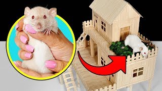 How to Make Popsicle Stick House for Rat [upl. by Anselm]