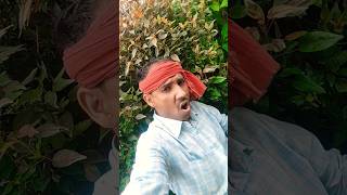 jable Aasman Mein Parinda Rahi bhojpuri music song dance newsong comedy trending [upl. by Nevarc614]