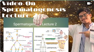 Spermatogenesis Lecture  Stages of Spermatogenesis [upl. by Ailana]