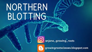 NORTHERN BLOTTING  Detailed Explanation In Malayalam  RNA Separation Technique  Zoology  Botany [upl. by Hamil]