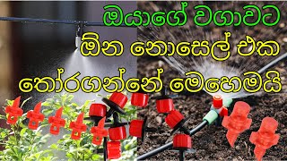 ජල සම්පාදන නොසෙල් වැඩ කරන විදිහ තමන්ගේ වගාවට අවශ්‍ය මොන වගේ නොසෙල් එකක්ද Drip irrigation 2024 [upl. by Steep]