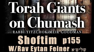 Shoftim 5784  Eliyahu In Chumash Devorim  Steven Geller [upl. by Claudette498]